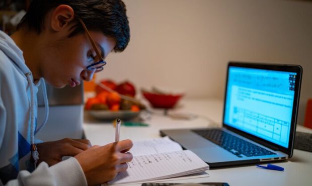 آموزش و پرورش: آموزش‌های مجازی پاسخگوی همه نیازهای دانش‌آموزان نیست