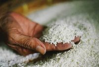 رئیس انجمن واردکنندگان برنج: دلیل ممنوعیت واردات برنج هندی، منفی شدن تراز تجاری با هندوستان است/ فعلا امکان جایگزینی نداریم