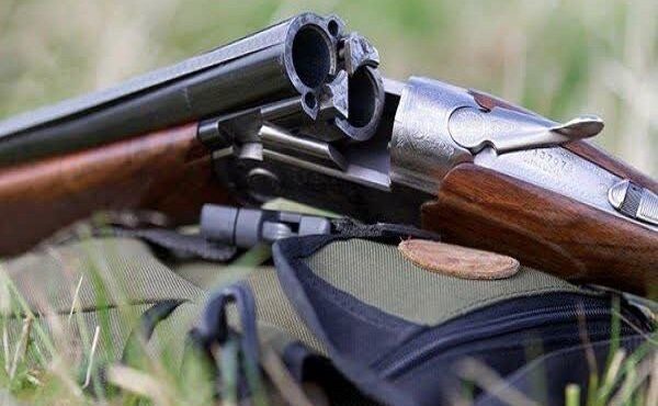 دادستان ایلام خبر داد؛ کشف ١٧ قبضه سلاح جنگی و شکاری در ایلام