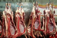 رئیس کمیسیون کشاورزی مجلس: درمورد موضوع گرانی گوشت، مکاتباتی با دادستان کل کشور انجام داده‌ایم/ وزیر کشاورزی باید در کمیسیون پاسخگو باشد