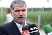 ساداتی‌نژاد: ‌‌گوشت منجمد توزیعی در بازار، ایرانی است/ کاهش قیمت پیاز آغاز شد