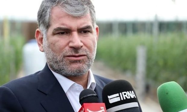 ساداتی‌نژاد: ‌‌گوشت منجمد توزیعی در بازار، ایرانی است/ کاهش قیمت پیاز آغاز شد