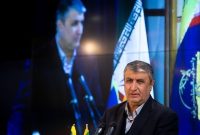 رئیس سازمان انرژی اتمی: قصد داریم محصولات هسته‌ای‌ را صادر کنیم