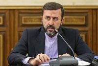 غریبآبادی: تعداد دوتابعیتیهایی که بازداشتند به ۲۰ نفر هم نمیرسد غریبآبادی: تعداد دوتابعیتیهایی که بازداشتند به ۲۰ نفر هم نمیرسد