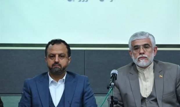 وزیر اقتصاد: برخی مسئولان برای اجرای قانون مولدسازی مقاومت می کنند