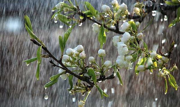 دمای هوا در ایلام ۱۰ تا ۱۲ درجه کاهش می یابد