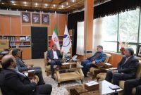 رئیس بنیاد مسکن انقلاب اسلامی خبر داد:۴ هزار واحد مسکونی در روستاهای استان ایلام احداث می شود