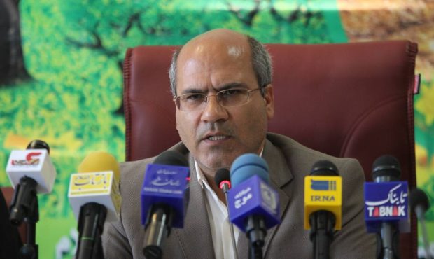 مدیرکل منابع طبیعی و آبخیزداری ایلام خبر داد: اجرایی شدن  طرح کاداستر در ۹۹ درصد اراضی ملی ایلام