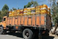 جانشین فرمانده انتظامی استان از توقیف سه تن مرغ زنده فاقد مجوز در دره شهر خبر داد