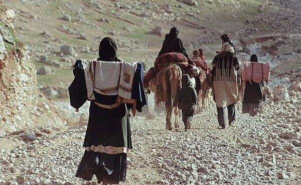 مدیرکل امور عشایری استان ایلام از آغاز بهسازی راه های عشایری خسارت دیده از سیل خبر داد