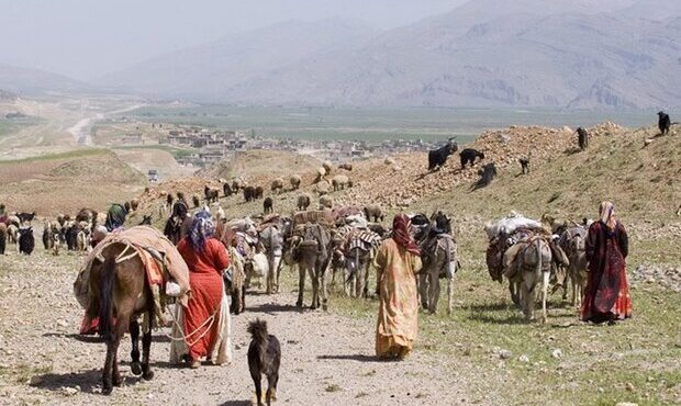 مدیرکل امور عشایری ایلام از کوچ عشایر به مناطق ییلاقی خبر داد مدیرکل امور عشایری ایلام از کوچ عشایر به مناطق ییلاقی خبر داد