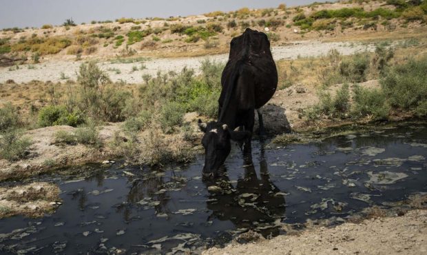 مدیرکل محیط زیست ایلام خبر داد: کارخانه آلودهکننده رودخانه چناره چرداول تنها پنج روز فرصت راهاندازی تصفیهخانه دارد مدیرکل محیط زیست ایلام خبر داد: کارخانه آلودهکننده رودخانه چناره چرداول تنها پنج روز فرصت راهاندازی تصفیهخانه دارد