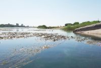 مدیرکل حفاظت محیط زیست ایلام خبر داد: نصب تصفیه کننده کارخانه آلوده کننده رودخانه چناره