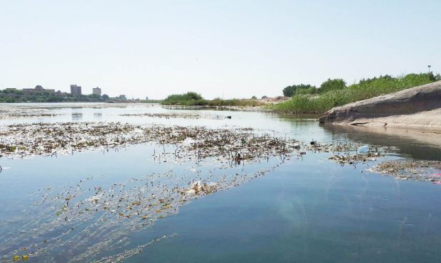 مدیرکل حفاظت محیط زیست ایلام خبر داد: نصب تصفیه کننده کارخانه آلوده کننده رودخانه چناره