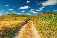 دیگران گویند تجربه زیسته اما من شعر مولانا می خوانم/ دلا نزد کسی بنشین که او از دل خبر دارد…