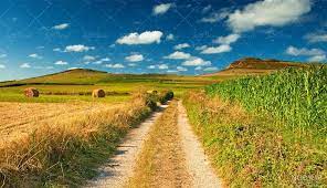 دیگران گویند تجربه زیسته اما من شعر مولانا می خوانم/ دلا نزد کسی بنشین که او از دل خبر دارد… دیگران گویند تجربه زیسته اما من شعر مولانا می خوانم/ دلا نزد کسی بنشین که او از دل خبر دارد…