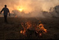 دادستان ایلام: ممنوعیت آتش زدن مزارع بعد از برداشت محصول در ایلام دادستان ایلام: ممنوعیت آتش زدن مزارع بعد از برداشت محصول در ایلام