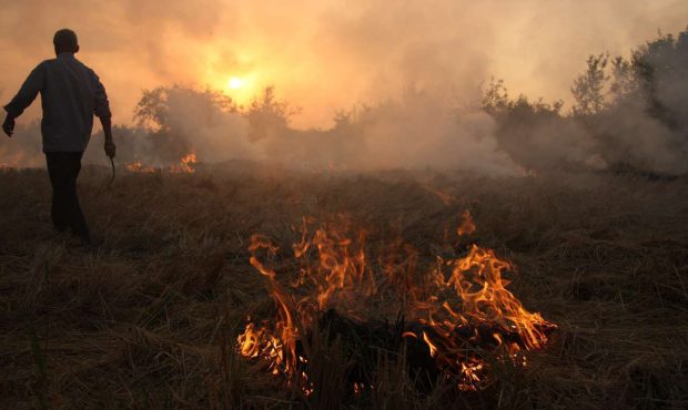دادستان ایلام: ممنوعیت آتش زدن مزارع بعد از برداشت محصول در ایلام