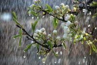 کارشناس پیش بینی هواشناسی ایلام خبر داد: هوای ایلام تا شنبه ناپایدار است