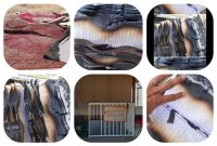 مردم آبدانان در محکومیت تعرض به ۲ بقعه متبرکه تجمع کردند