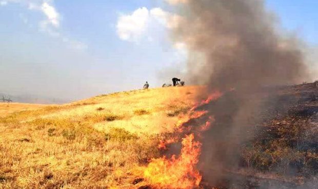 فرمانده انتظامی سیروان از دستگیری عامل حریق ۱۵ هکتار از مزارع کشاورزی خبر داد فرمانده انتظامی سیروان از دستگیری عامل حریق ۱۵ هکتار از مزارع کشاورزی خبر داد