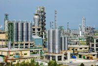 مدیر عامل پتروپالایش و عضو هیئت مدیره پتروشیمی دهلران: تعطیلی پتروشیمی دهلران از اساس کذب است