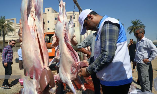 همزمان با ایام تاسوعا و عاشورای حسینی در ایلام؛ ۳۶ گروه نظارت بر ذبح دام و فرآورده های خام دامی نظارت می کنند همزمان با ایام تاسوعا و عاشورای حسینی در ایلام؛ ۳۶ گروه نظارت بر ذبح دام و فرآورده های خام دامی نظارت می کنند