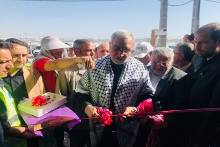 وزیر بهداشت از استقرار ۱۲ بیمارستان صحرایی برای خدمات رسانی در مرزهای کشور خبر داد