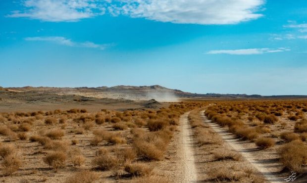 مدیرکل منابع طبیعی از اجرای طرح های مقابله با بیابان زایی در مرزهای ایلام خبر داد