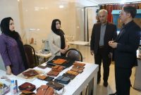 مدیرکل کمیته امداد ایلام خبر داد؛ ایجاد بیش از ۶ هزار و ۲۰۰ فرصت شغلی برای نیازمندان استان ایلام