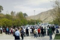 مدیرکل میراث فرهنگی، گردشگری و صنایع‌دستی از برگزاری رالی خانوادگی رانندگان بازنشسته در ایلام خبر داد