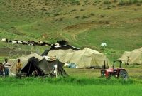 مدیرکل امور عشایر از تامین سوخت زمستانه عشایر ایلام خبر داد