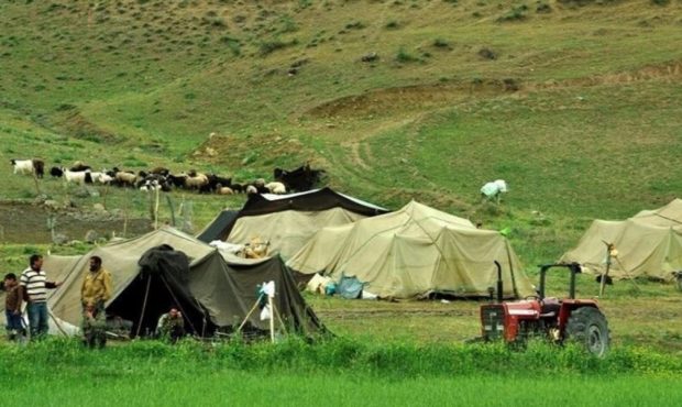 مدیرکل امور عشایر از تامین سوخت زمستانه عشایر ایلام خبر داد