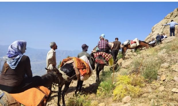 سرپرست اداره کل امور عشایر ایلام تاکید کرد: عشایر مهمان قبل از کوچ به سمت ایلام، خود و دامهایشان را واکسینه کنند