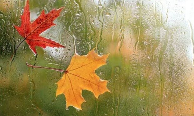 رییس گروه پیش بینی هواشناسی ایلام خبر داد: آسمان ایلام تا پایان هفته بارانی است