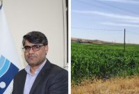 رونق کشاورزی دشت های زرنه و تِرَن، تحت پوشش شبکه آبیاری سد کنگیر