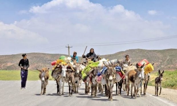 مدیرکل امور عشایری استان ایلام از بهسازی و مرمت تمامی راههای عشایری خبر داد مدیرکل امور عشایری استان ایلام از بهسازی و مرمت تمامی راههای عشایری خبر داد