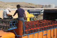 مدیرکل گمرک استان ایلام خبر داد: ۴۷ میلیون دلار محصولات کشاورزی از مرز مهران صادر شد