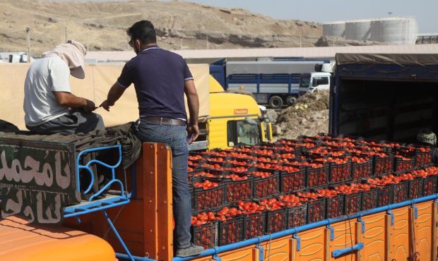 مدیرکل گمرک استان ایلام خبر داد: ۴۷ میلیون دلار محصولات کشاورزی از مرز مهران صادر شد