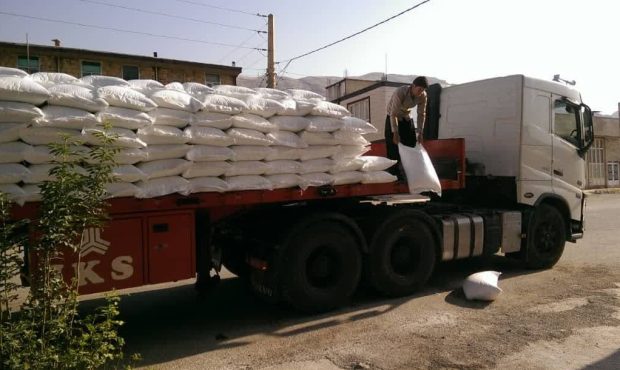 سرپرست شرکت خدمات حمایتی کشاورزی ایلام خبر داد: توزیع  کود پتروشیمی مسجد سلیمان در  شهرستان مهران