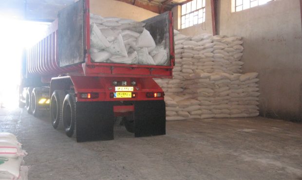 مدیر شرکت خدمات حمایتی کشاورزی ایلام خبر داد: توزیع  کود پتروشیمی مسجد سلیمان در  شهرستان های استان ایلام