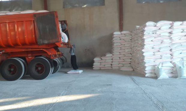 مدیر شرکت خدمات حمایتی کشاورزی ایلام از توزیع بیش از ۱۱ هزار و ۴۳۶ تن کود شیمیایی یارانه‌ای در شهرستان دهلران خبر داد