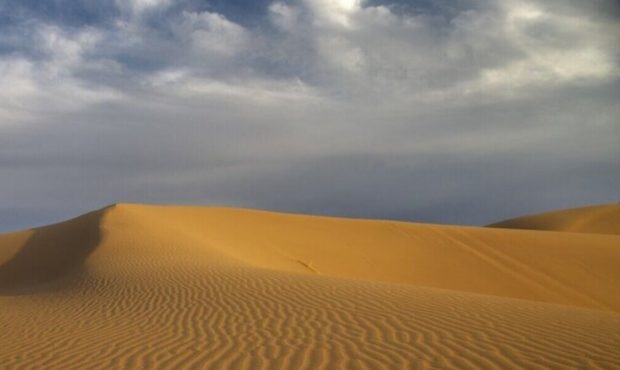 مدیر کل منابع طبیعی و آبخیزداری استان ایلام: ۴۲۵ هکتار بیابان در استان ایلام وجود دارد