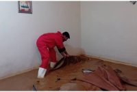 مدیرکل مدیریت بحران ایلام: بنیاد مسکن در حال ارزیابی خسارت سیل به منازل مردم استان ایلام است