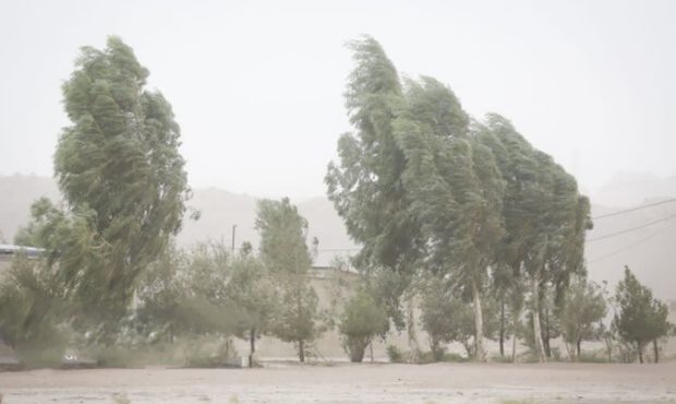 جایگاه تحقیقاتی و علمی کشور در موضوع مقابله با بیان زایی سرآمد و کشور ما یکی از کشورهای اثرگذار است