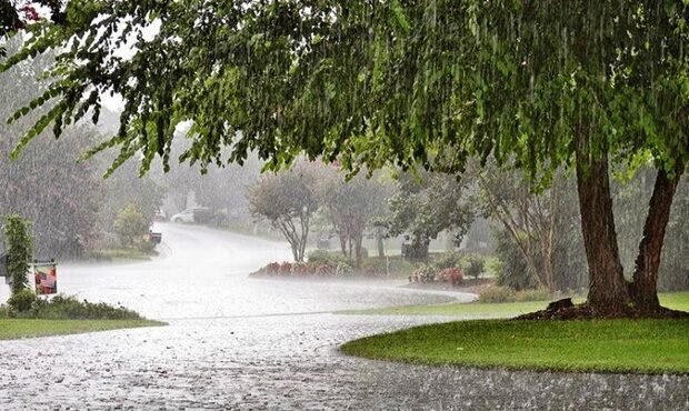 کارشناس هواشناسی استان ایلام خبر داد؛ آغاز بارش باران در ایلام/بارش ها تا پنجشنبه ادامه دارد