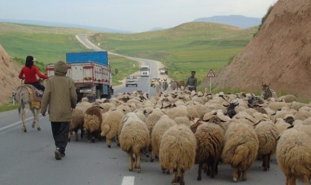 مدیر کل امور عشایری استان ایلام تاکید کرد: ارزش تولیدات عشایر ایلامی سالانه ۳۵۰۰ میلیارد تومان است مدیر کل امور عشایری استان ایلام تاکید کرد: ارزش تولیدات عشایر ایلامی سالانه ۳۵۰۰ میلیارد تومان است