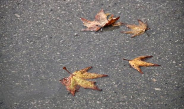 کارشناس هواشناسی ایلام خبر داد: سامانه بارشی از فردا وارد ایلام می شود