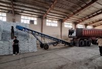 مدیر شرکت خدمات حمایتی کشاورزی ایلام خبر داد: تامین و توزیع کود اوره از مبداء پتروشیمی مسجد سلیمان در فصل پاییز