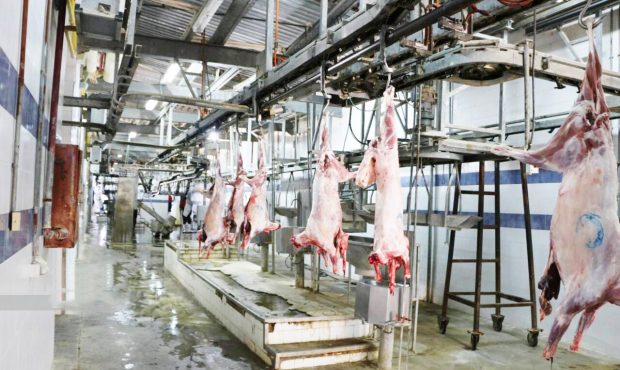 مدیرکل دامپزشکی استان از سلب مالکیت خصوصی کشتارگاه صنعتی ایلام خبر داد